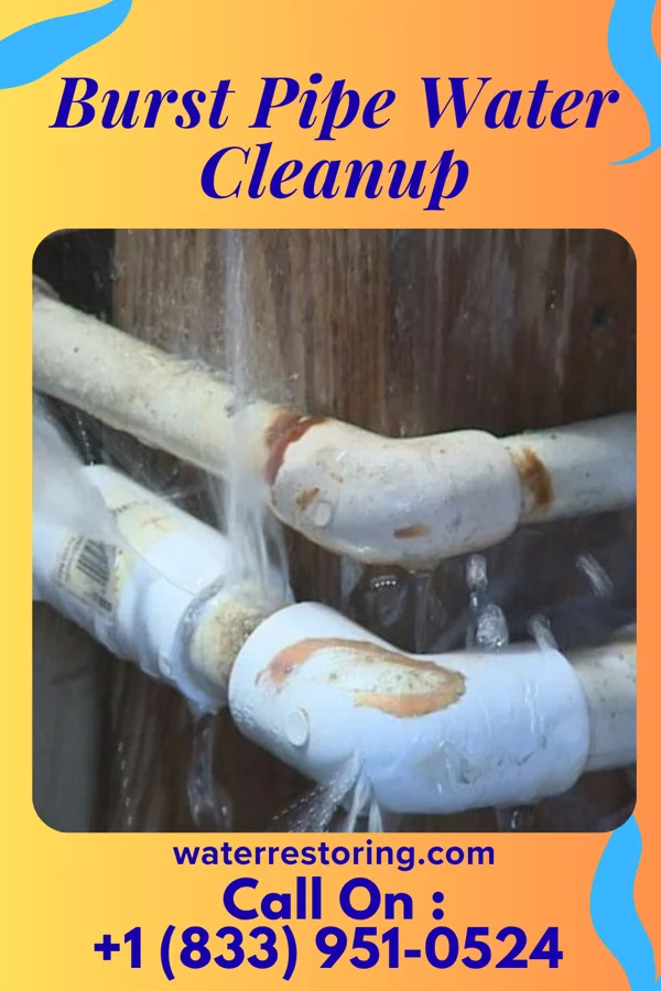 Burst Pipe Water Cleanup in Desert Aire, WA