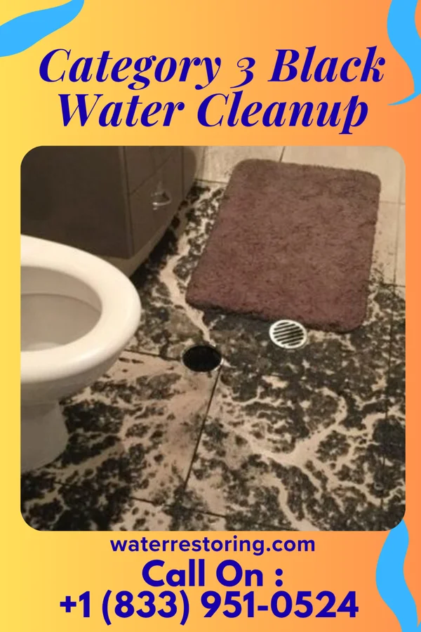 Category 3 Black Water Cleanup in Desert Aire, WA