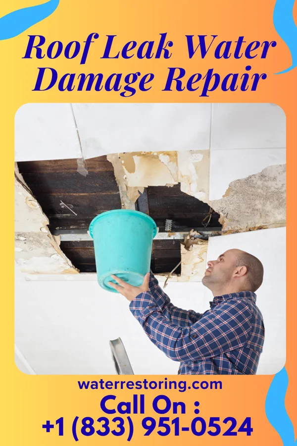 Roof Leak Water Damage Repair in Desert Aire, WA