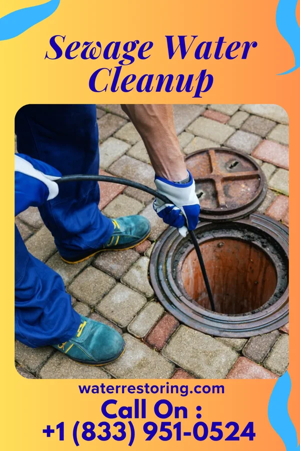 Sewage Water Cleanup in Desert Aire, WA