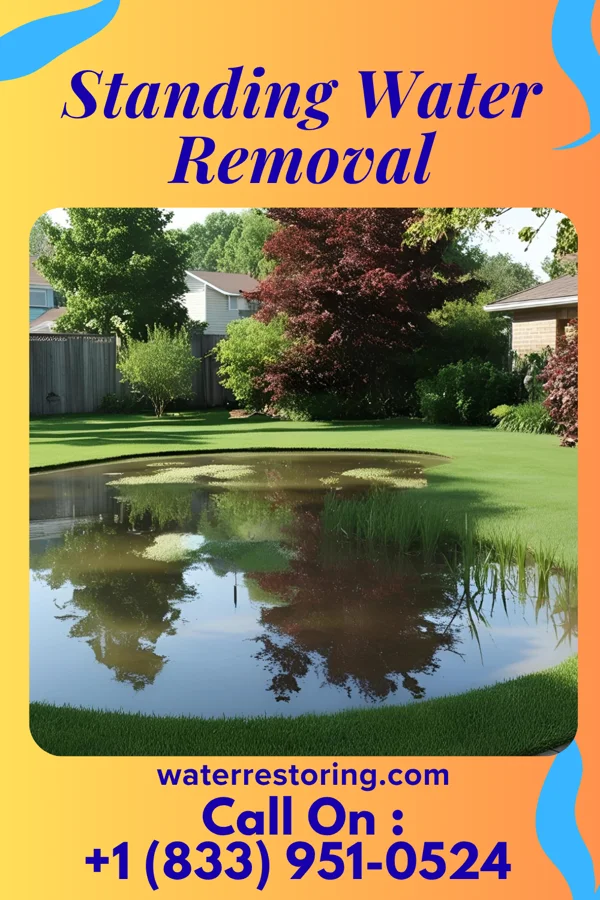 Standing Water Removal in Desert Aire, WA